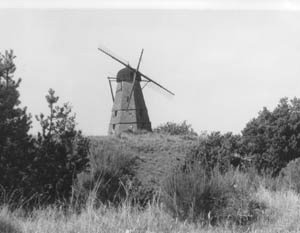 _2_1973.jpg