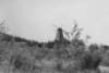 forfalden1983_1_small.jpg